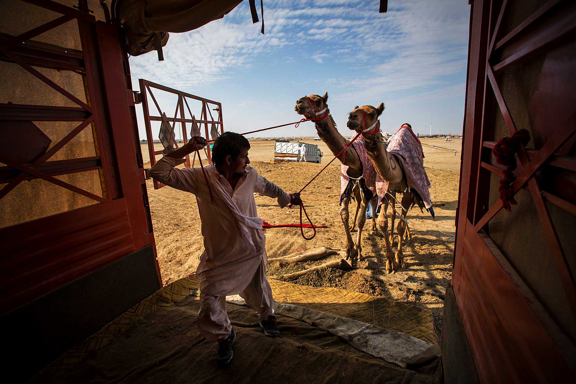 Wouter-Kingma-Web-Camel-Library-12