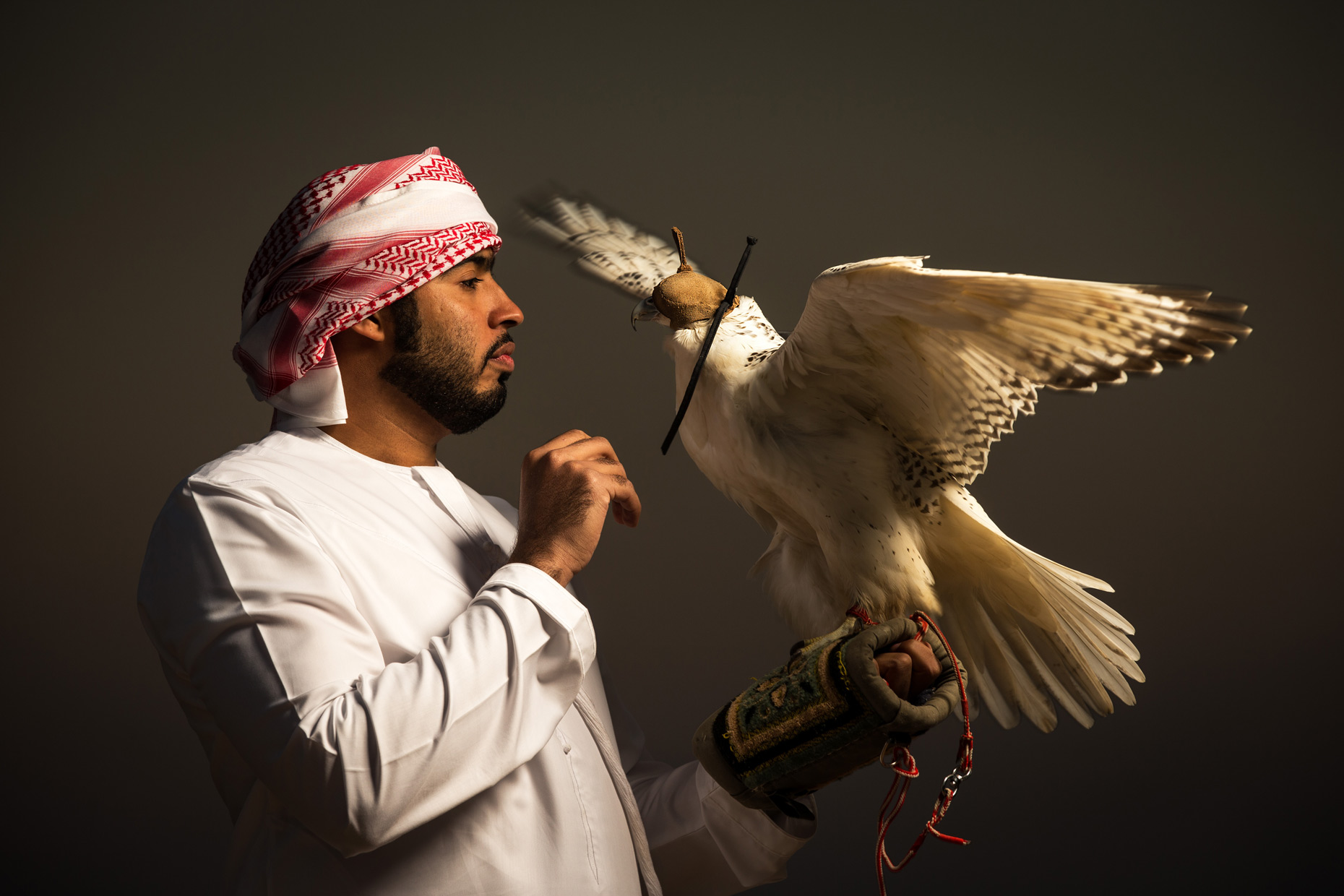 Wouter Kingma Falcons of Arabia 03