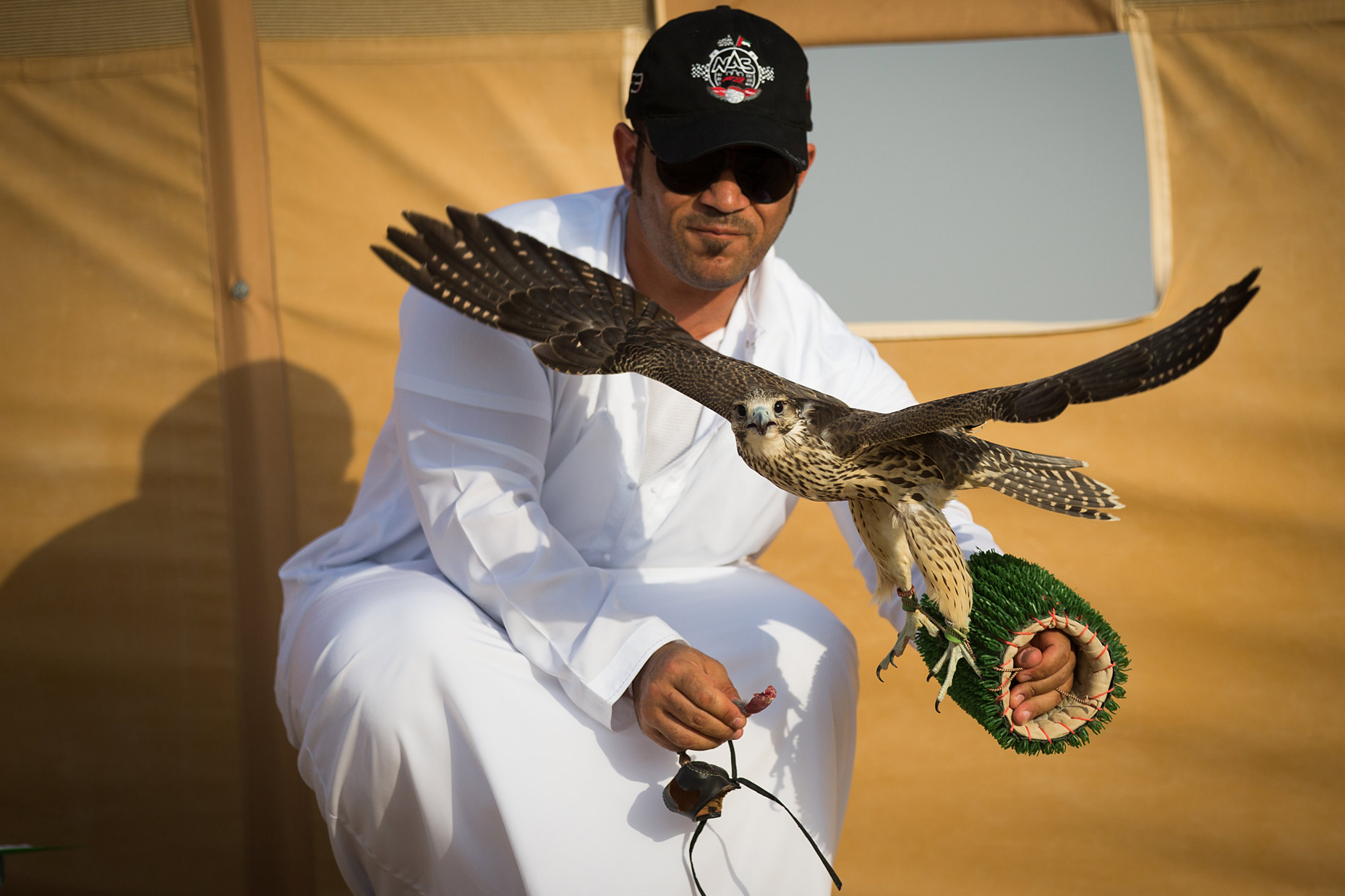 Wouter Kingma Falcons of Arabia 10